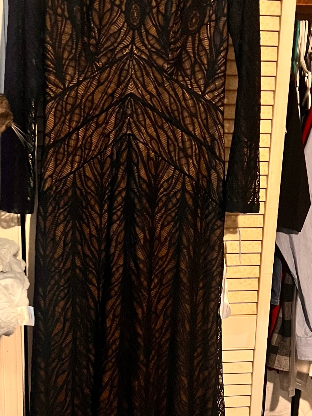 Tadashi Shoji Black Lace Long Sleeve Maxi Gown